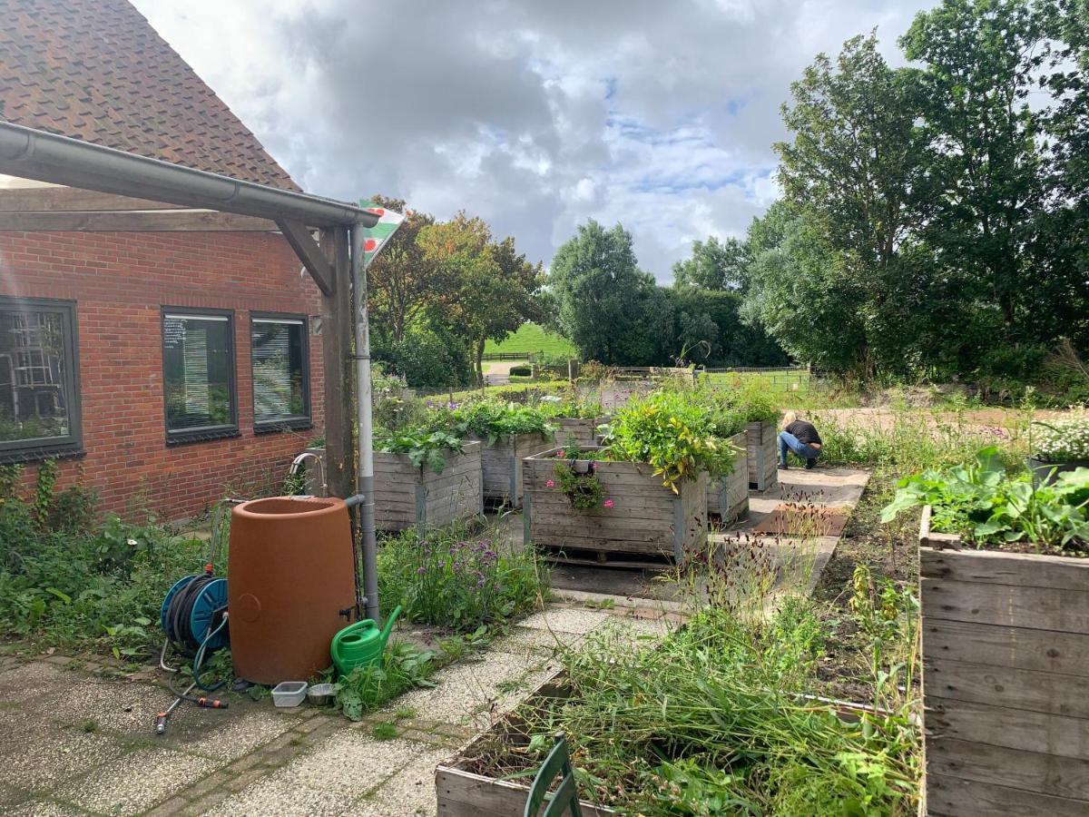 Het Lage Noorden Bed & Breakfast Marrum Exterior photo